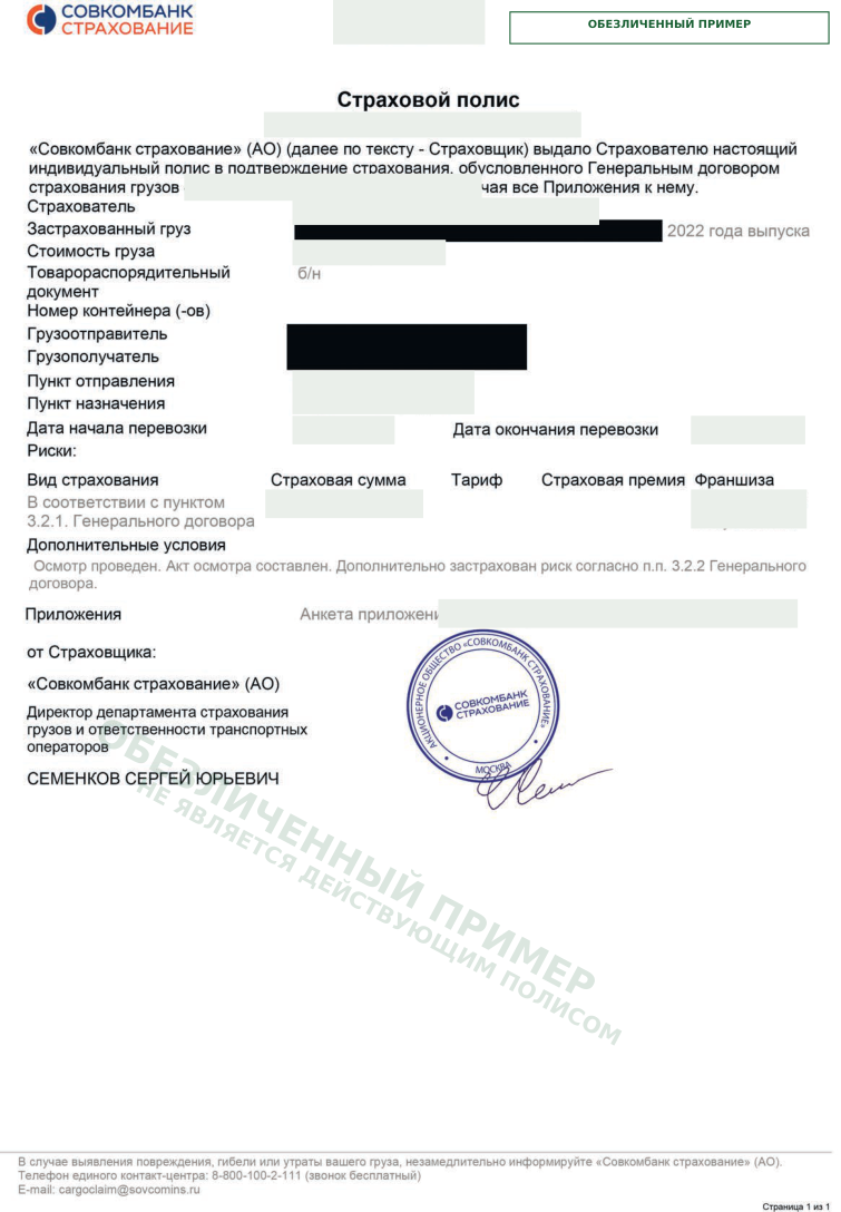 Первая страница образца страхового полиса